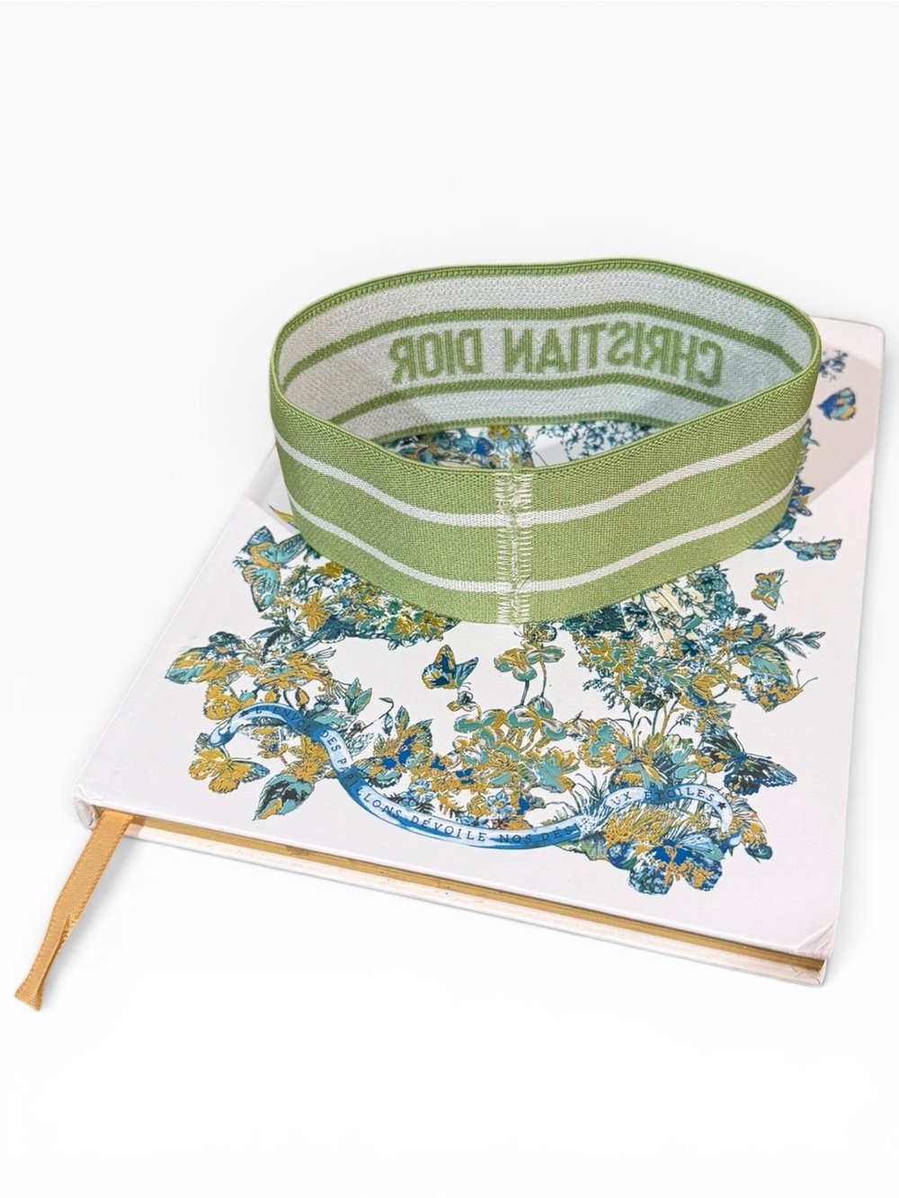 Christian Dior Around the World Notebook w/ Signature Green Band | Rare - Picture 11 of 13